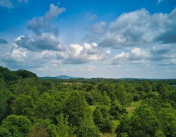 JK Wildlife Sanctuary / Stumptown Woods