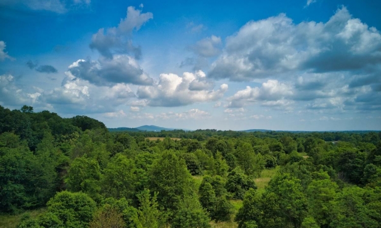 JK Wildlife Sanctuary / Stumptown Woods