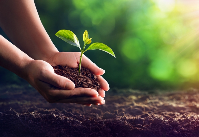 Sustainability