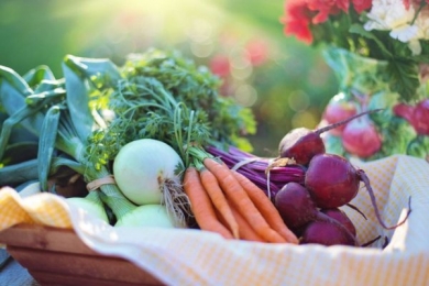 JK Community Farm Vegetables