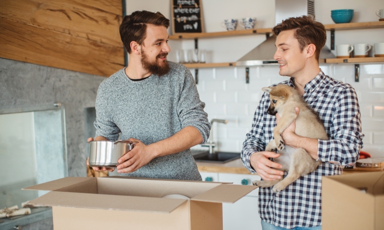 Packing kitchen