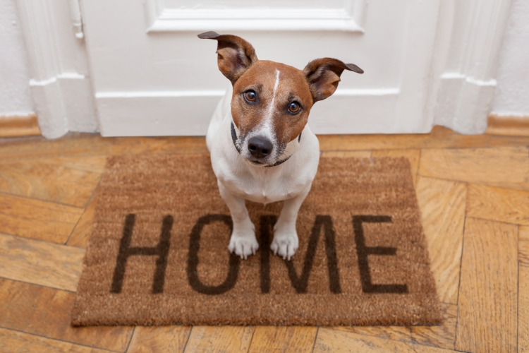 2021 Blog - New home welcome mat