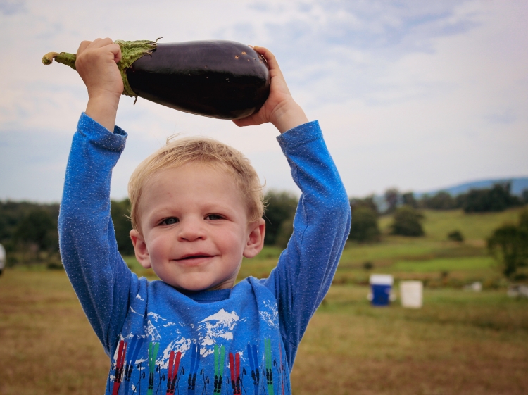 Giving Tuesday - young eggplant volunteer