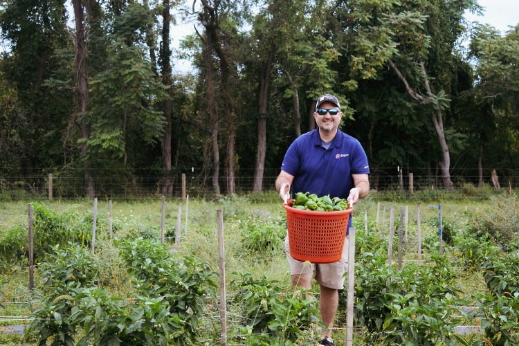 CARE Awards - Farm volunteer