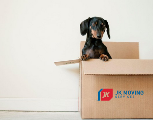 packing supplies - pup in box