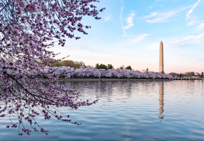 Washington, DC