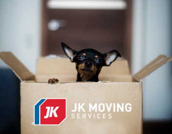 moving abroad with pets - puppy in a box
