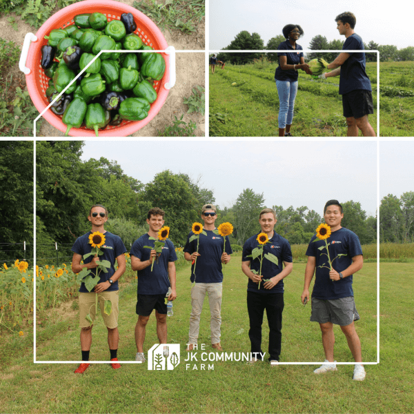 Intern Farm Day
