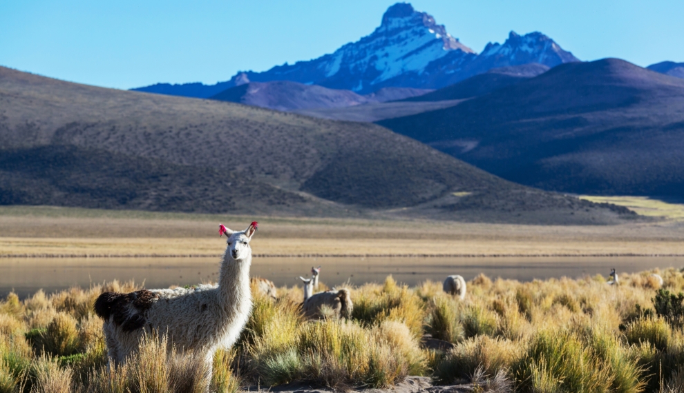 Moving to Chile from US