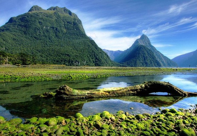 New Zealand nature