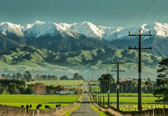 New Zealand Clean and Green