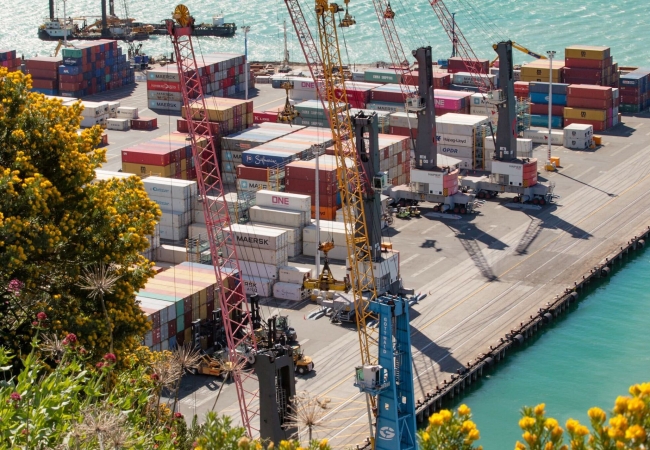New Zealand Economic Opportunities
