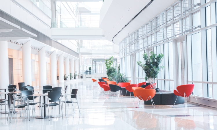 Vision of Modern Workspaces: JK Moving Office Transition and Renovation in place