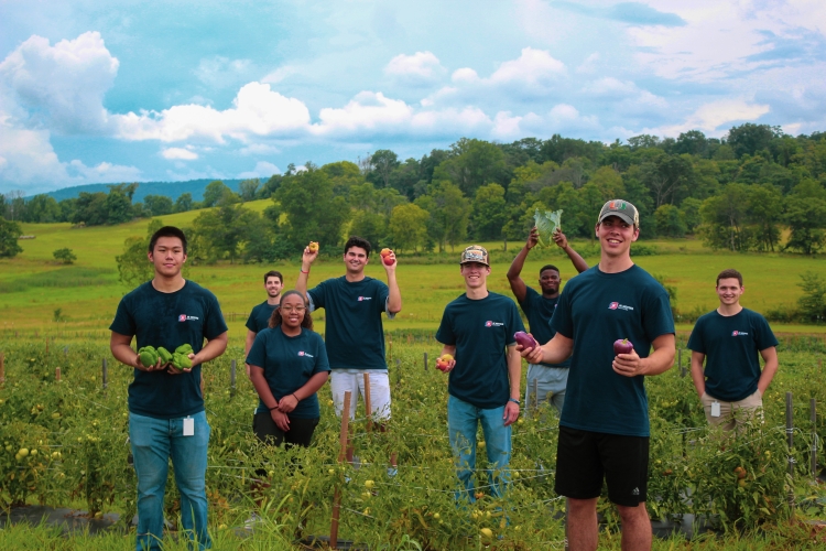 CX Awards - JK interns at the JK Community Farm