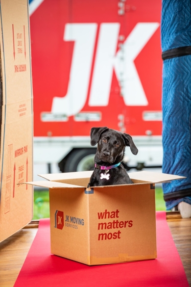 Family move checklist - pet essentials