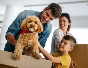 family moving checklist