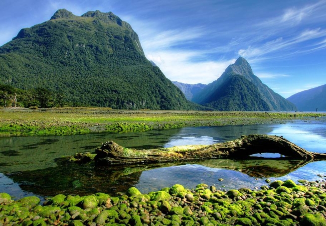 New Zealand nature