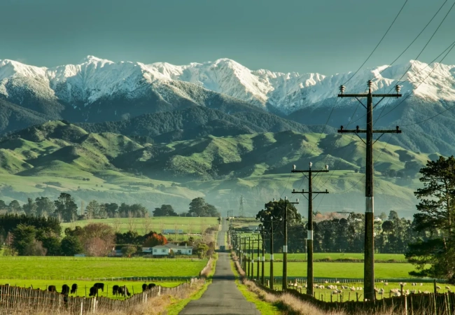 New Zealand Clean and Green