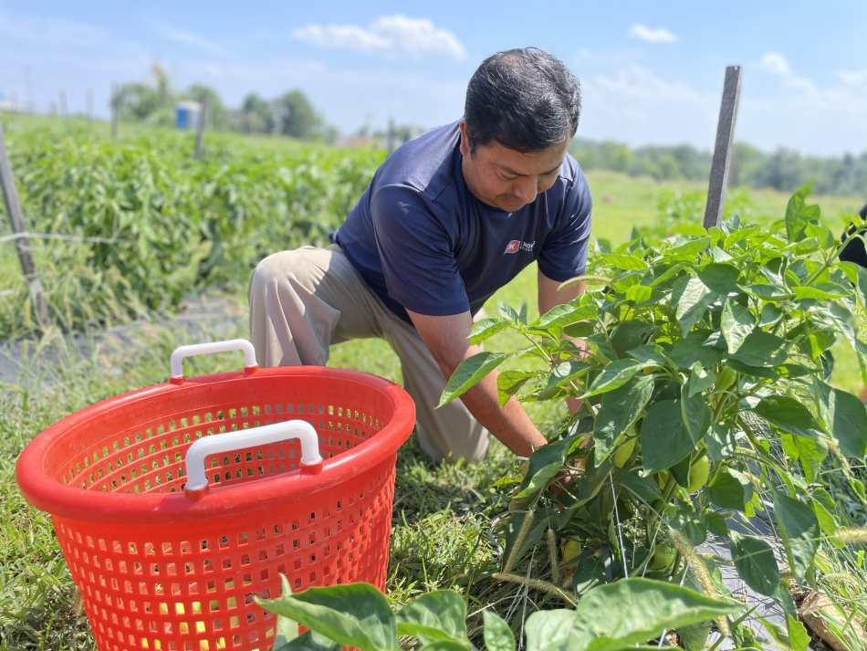 JK volunteer at the Farm