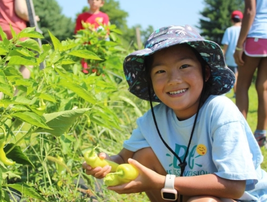 JK Community Farm young volunteer