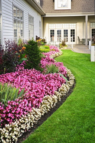 Curb appeal checklist - landscaping