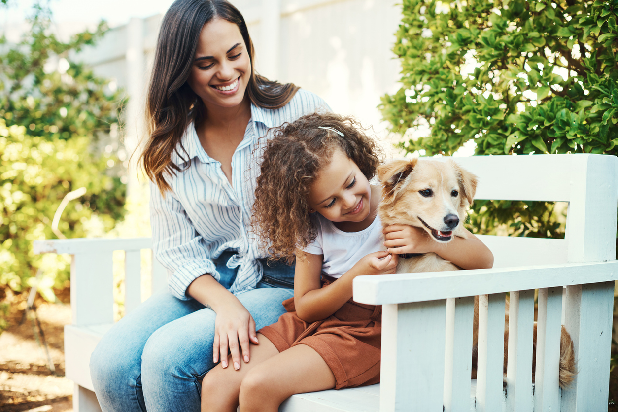 A guide to moving cross-country with pets | JK Moving Services