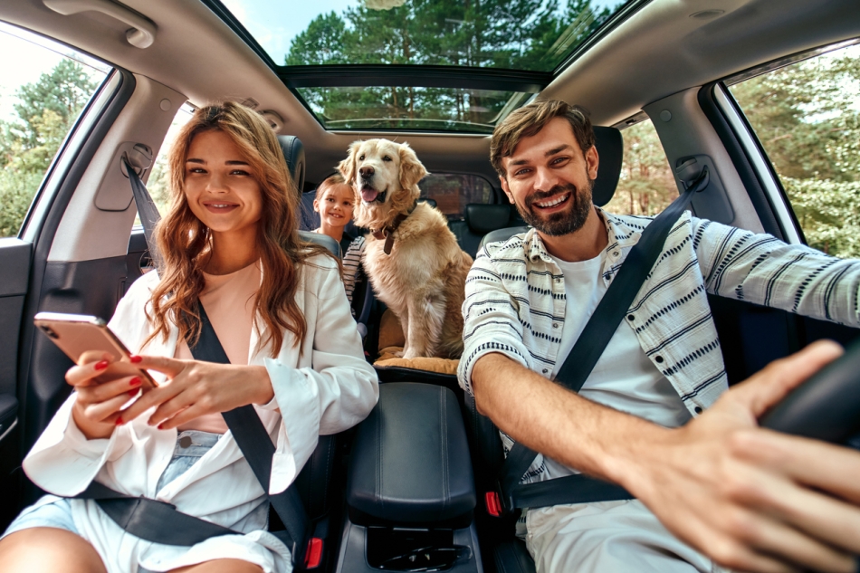 Moving day survival kit - kids and pets