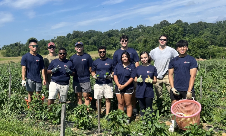 Summer interns at the Farm - 2025
