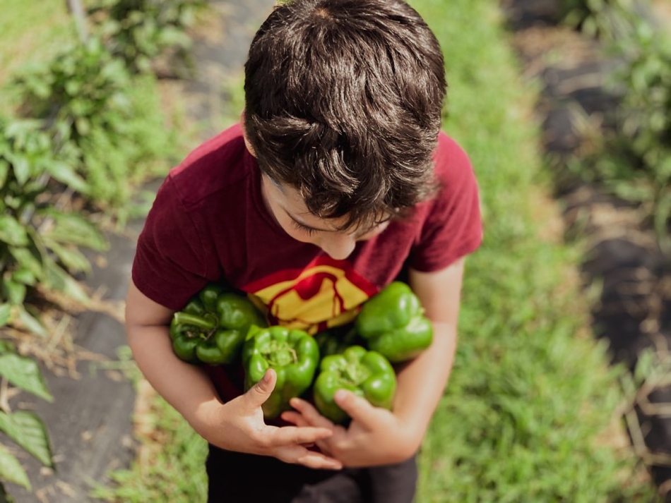 Giving Tuesday - Young boy with peppers at the Farm