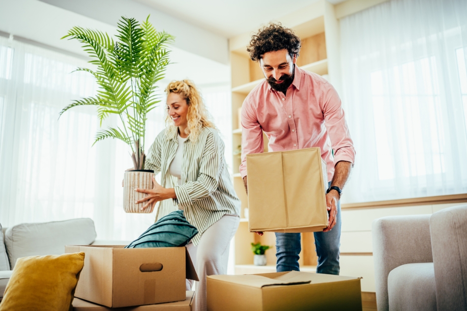 30-day unpack plan - living room