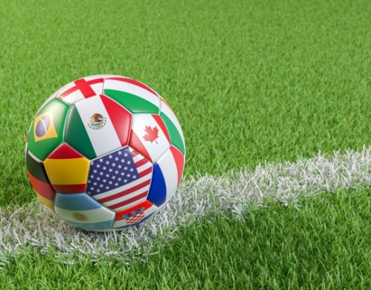 FIFA Word Cup aspect