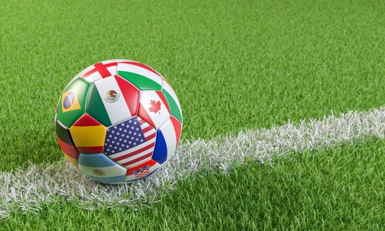 FIFA Word Cup aspect