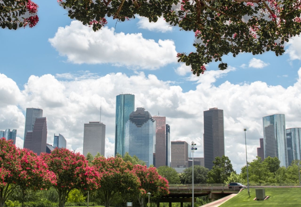 Houston downtown skyline framed by blooming crepe myrtle trees and green parkland under a partly cloudy summer sky.